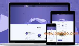 魔站 世纪先锋网络公司打造的会员网站典范，引领网络技术服务新潮流